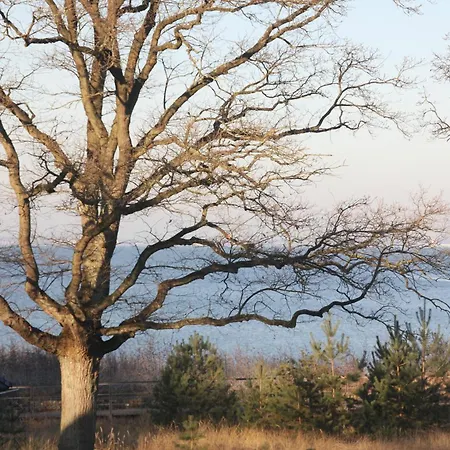 Sea And Salt Appartement Timmendorfer Strand